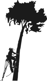 GisIcon